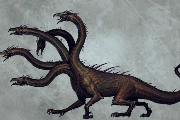 Kraken tor onion
