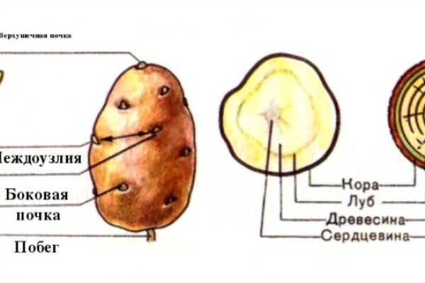 Как зайти на кракен даркнет