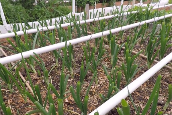 Ссылка на кракен тор kraken014 com